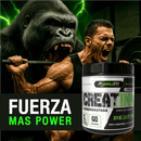 Creatina Monohidratada 300gr Micronizada - JungleFit polvo 60 porciones - Suples.cl